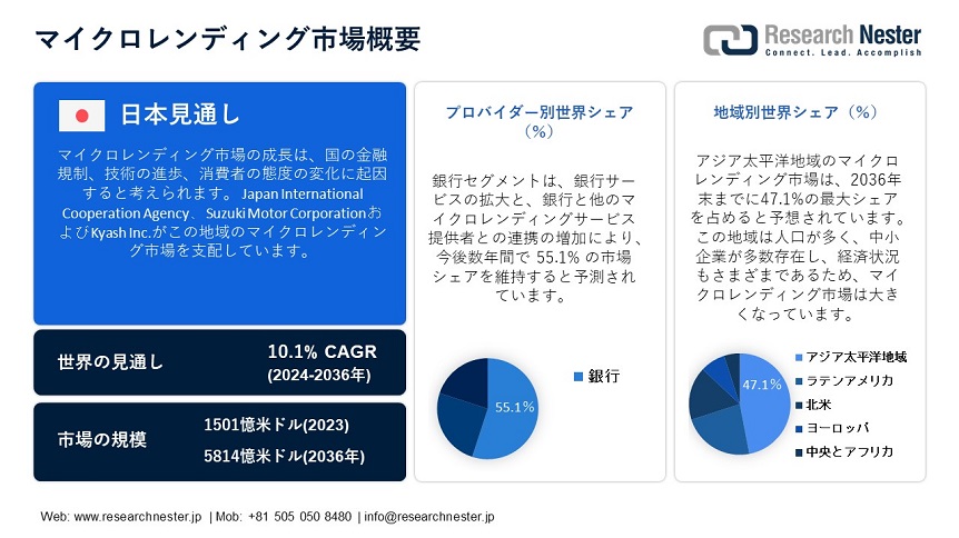 Micro Lending Market Overview